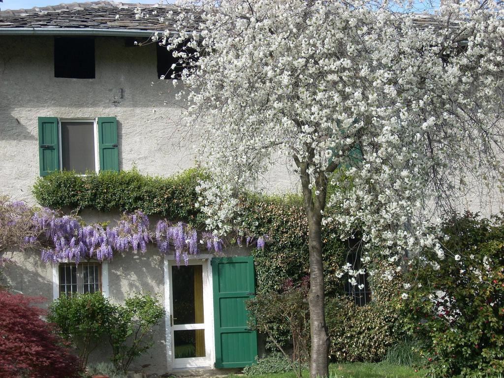 B&B L'Isola Piantedo Екстер'єр фото